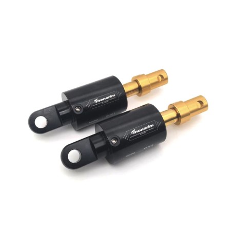 Ammortizzatori ad aria Monorim SGR3 Air kit sospensione posteriore Segway Max G3 Series  - 1 
Compatibilita: kit ammortizzatori 