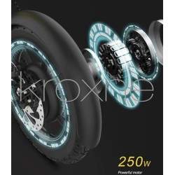 zBike - bicicleta eléctrica plegable 250w - 30 a 50km de autonomía  - 12 zBike - bicicleta eléctrica 250w - 30 a 50km de autonom