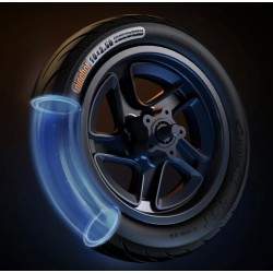 Povnyy peredniy obid z halʹmivnym dyskom dlya Segway F2, F2 Plus, F2 Pro abo analohichnykh - 10x2,5 dyuymiv Segway - Ninebot - 6