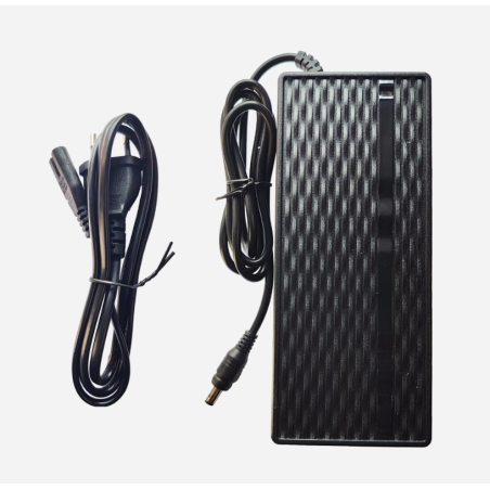 Cargador de batería interna para patinete eléctrico Navee N65 o similar  - 1 Cargador de batería interna para patinete eléctrico