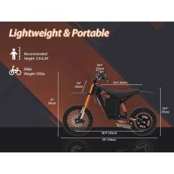 Monorim e-Moto Electric Wish007, 55 km/h, motor 1500 W, baterie 21Ah, suspensie hidraulică reglabilă Monorim - 5 Monorim e-Moto 